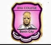 Empowering Idia College Students for the Future: A Successful 6-Month Soft Skills and Career Mentorship Program